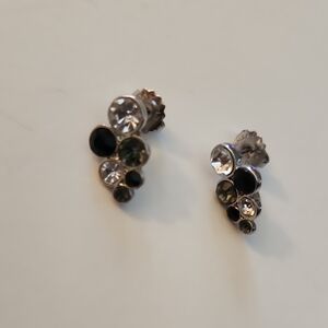 Vanderbilt Elegant Silver and Black Stud Earrings
